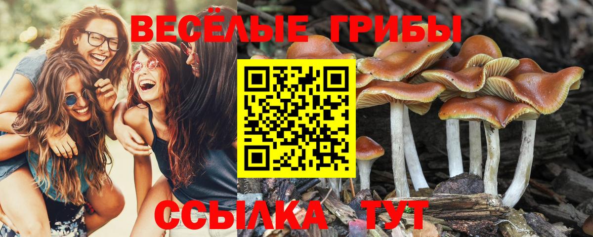 Галлюциногенные грибы ЛСД  Вход с VPN  Псилоцибиновые грибы мицелий  Березники 